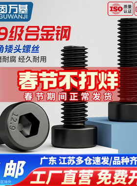12.9级薄头内六角螺丝DIN7984螺钉高强度矮头扁头螺栓M4M5M6M8M10