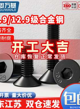 10.9/12.9级高强度螺栓沉头内六角螺丝钉平头六角螺钉M2M3M4M5M12