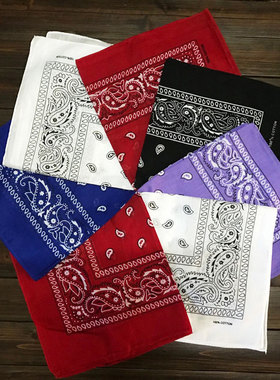 腰果花Bandana嘻哈hiphop潮街舞男女BBOY运动欧美街头百搭头巾