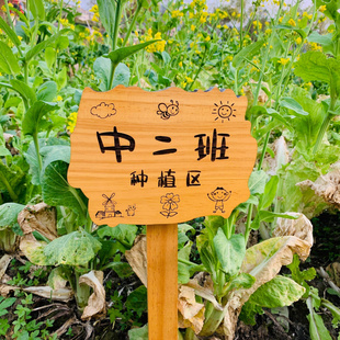 户外菜地花草幼儿园菜园种植花园装饰插地木质警示提示牌木牌定制