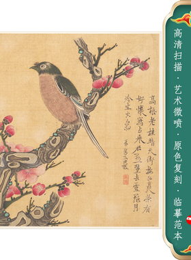 花鸟杂画册国画工笔花鸟花卉古画