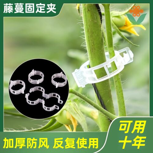 【下单立减50元】绿植果树植物固定夹卡扣藤蔓固定秧苗爬藤支撑杆