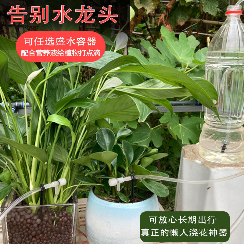 虹吸自动灌溉省心省水方便出差