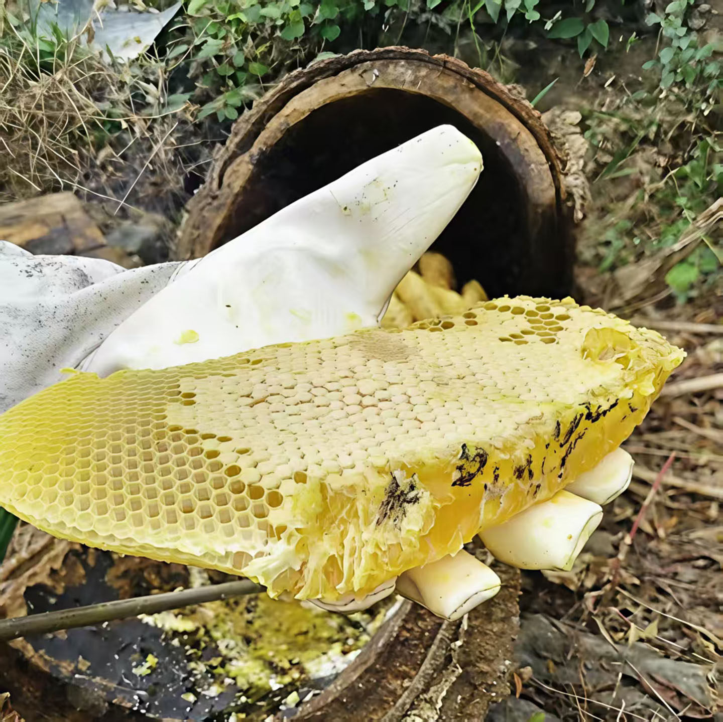 贵州深山原生态木桶乡下自产正品土蜂蜜纯正天然野生农家百花蜂蜜