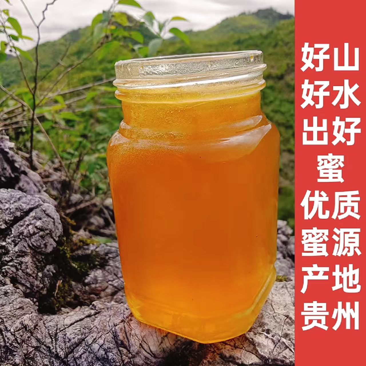 蜂蜜纯正天然野生蜂巢蜜农家自销土蜂蜜贵州正品木桶土养百花蜂蜜