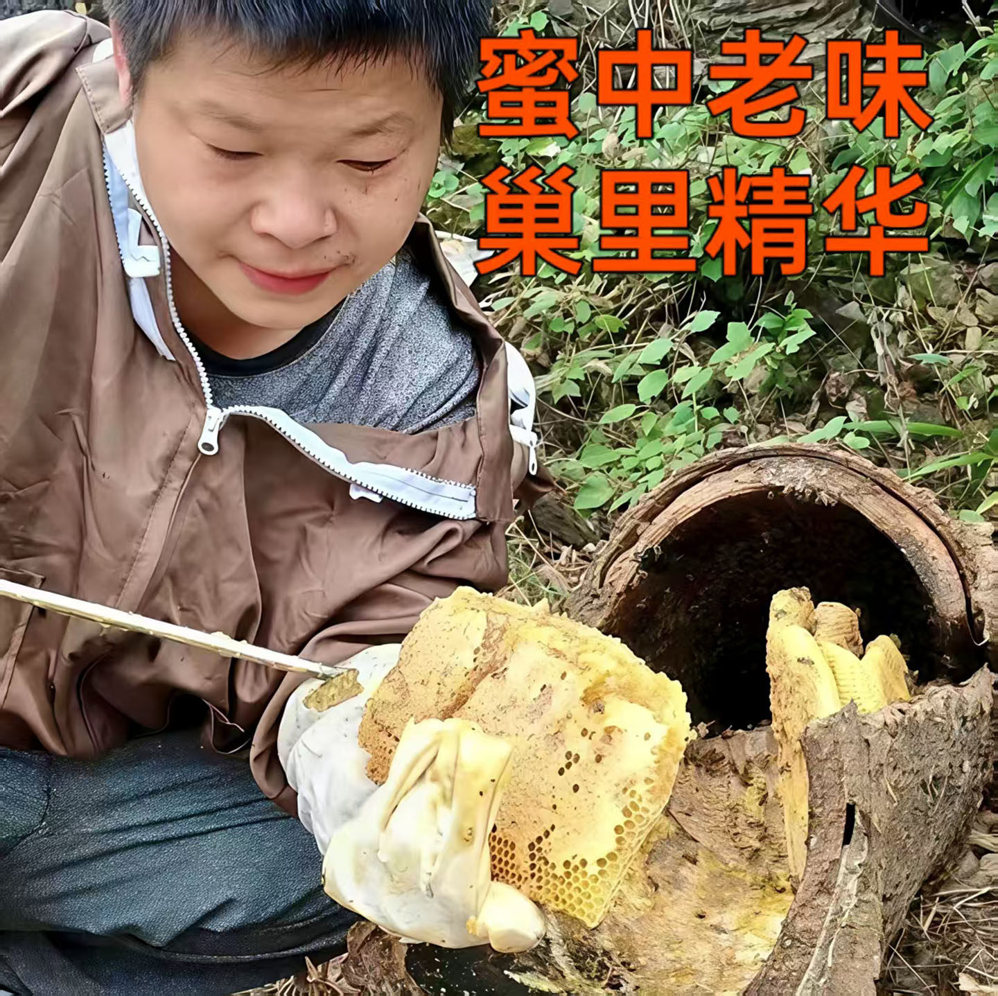 正宗土蜂蜜纯正天然野生农家百花蜂蜜贵州深山原生态木桶乡下自产