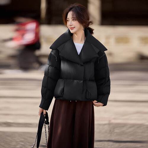 短羽绒服冬季新款女式SY219-1小白鸭绒女高款级感个外子羽绒套