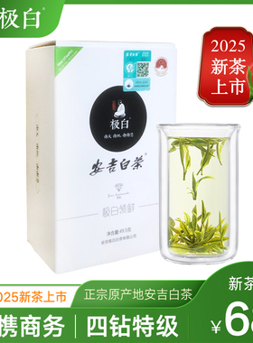 2025新茶上市极白安吉白茶商务礼盒特级49.5g绿茶茶叶官方旗舰店