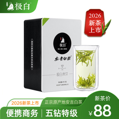极白特级原产地明前送礼春茶