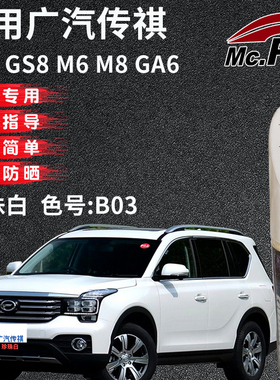 xy/易彩传祺GS7 GS8 M6 M8 GA6珍珠白色补漆笔油漆汽车专用自喷漆