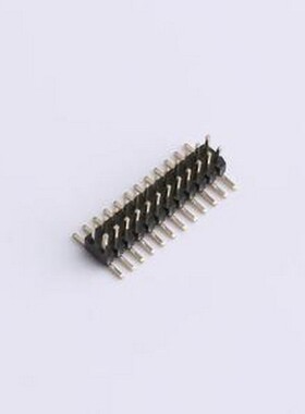 PZ1.0-US2S-12A 排针 1.0PH H1.0 2x12Pin SMT W2.3PC5.0 PA2.0 P