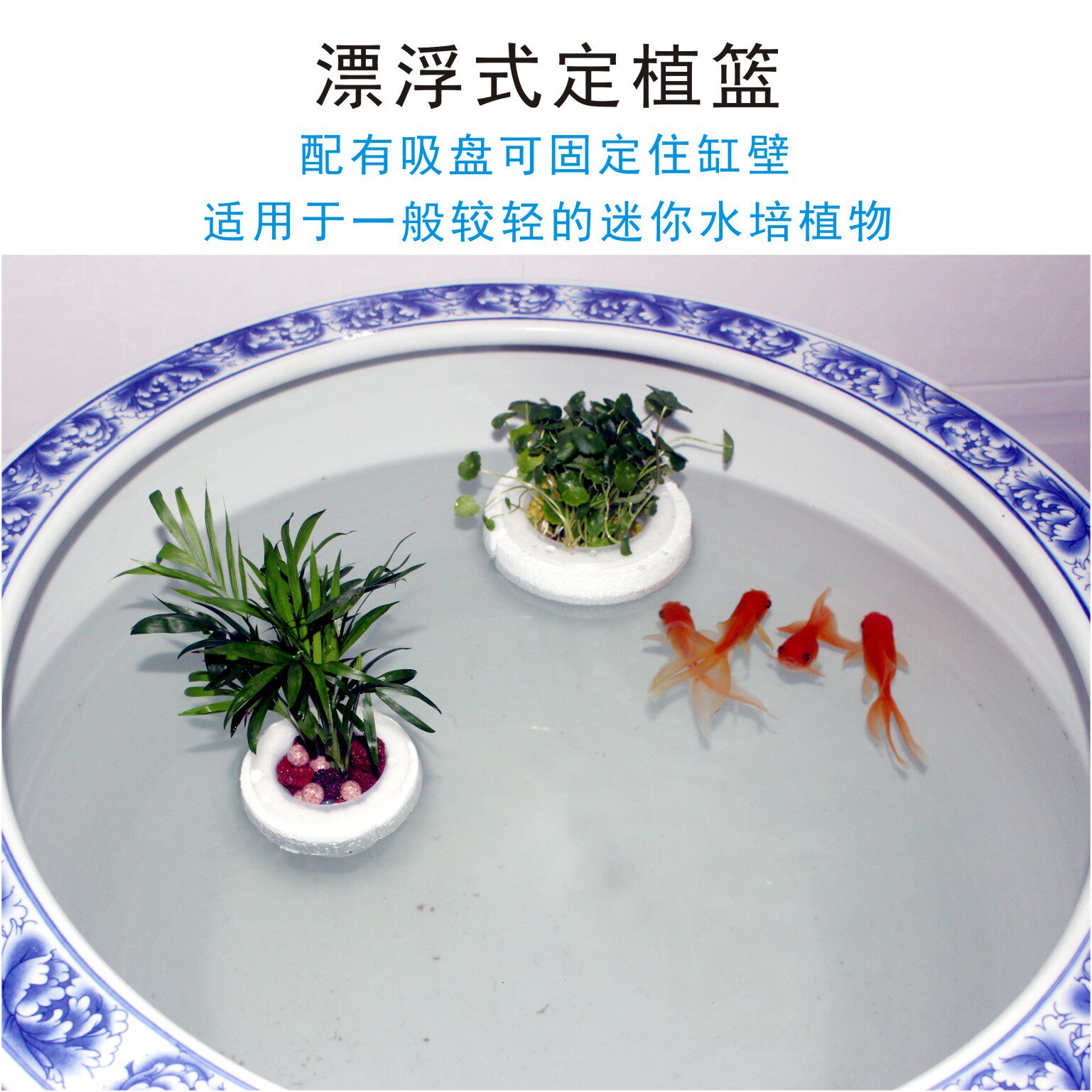 漂浮式水培定植篮圆形鱼缸造景装饰水植物固定器铜钱草定植固根篮