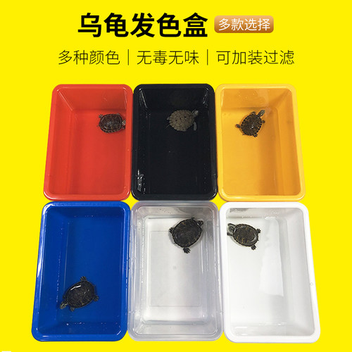 周转箱桌面发色盒爬宠网塑胶乌龟