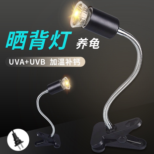 乌龟晒背灯太阳灯uvb专用全光谱灯架灯泡爬宠取暖陶瓷灯恒温保温