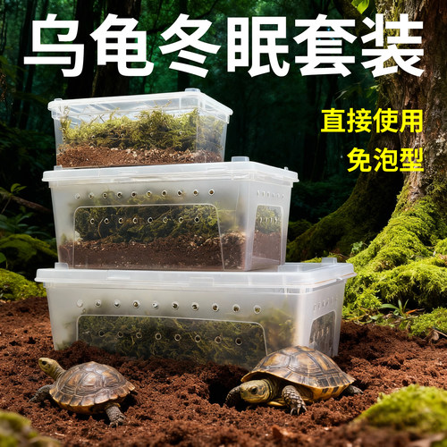 爬宠过冬窝乌龟冬眠箱