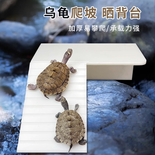 乌龟爬坡晒台专用防滑石头龟缸躲避屋浮岛爬梯高水位鱼缸爬台宠物