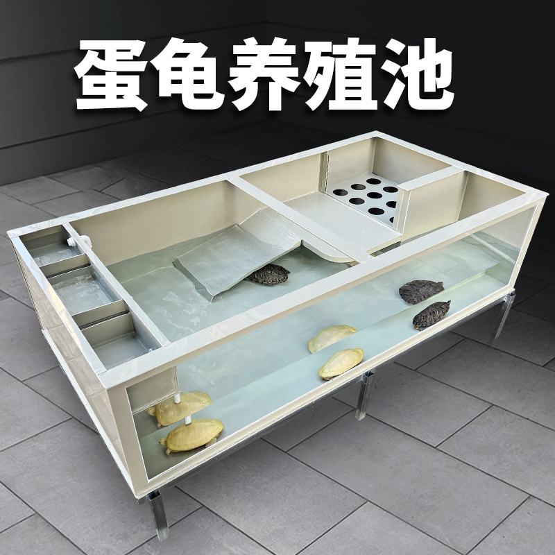 蛋龟透明乌龟缸玻璃PP塑料龟池窄