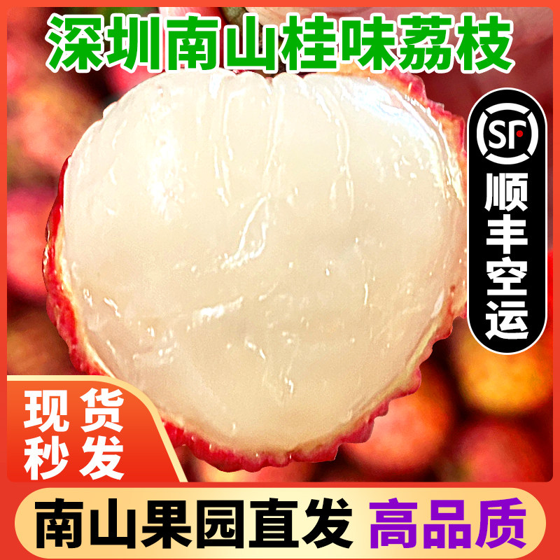 深圳南山桂味荔枝5斤礼盒顺丰空运当季新鲜水果农家水果包邮