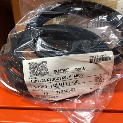 日本NOK阪上德国CFW进口密封