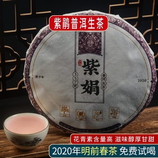 紫娟普洱生茶2020年云南勐海布朗山头春紫茶357g花香型黑紫鹃茶叶