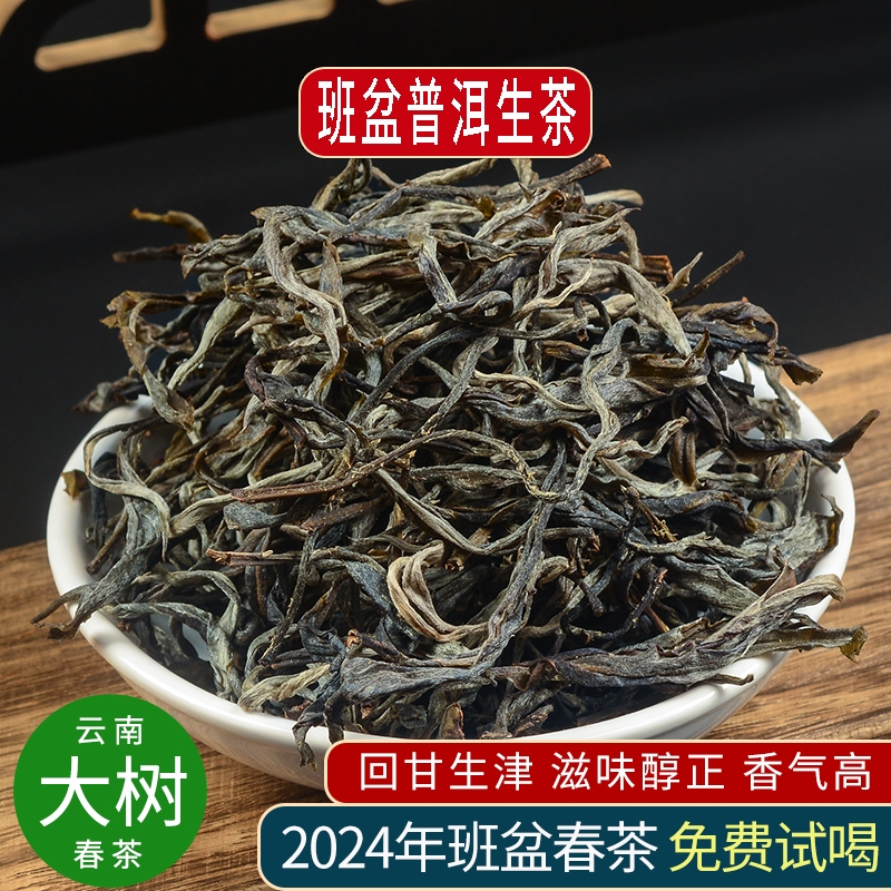 普洱生茶2024年云南勐海班盆老寨大树明前春茶口粮生普洱散装茶叶