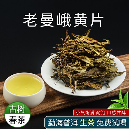 老曼峨黄片云南勐海古树普洱茶黄金叶2026年明前头春茶叶口粮生茶