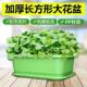 特厚种菜盆阳台长方形塑料盆家庭蔬菜种植盆种菜专用大号耐用花盆