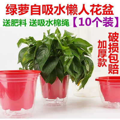 自动吸水透明储水特价懒人花盆