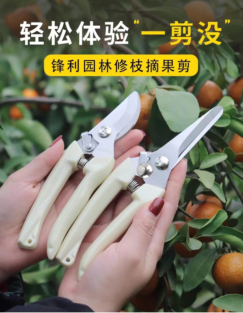 园艺剪刀工具不锈钢园林花卉嫁接
