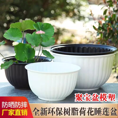 树脂环保简约无孔水培花盆铜钱草