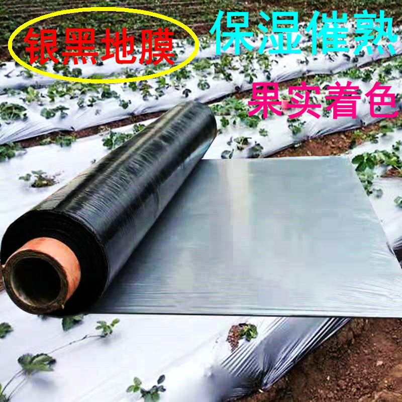 聚乙烯PE农用地膜反光除草保温