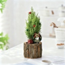 圣诞树氛围感装 饰香松桌面情绪小盆栽趣味节日工位礼物摆件放青松