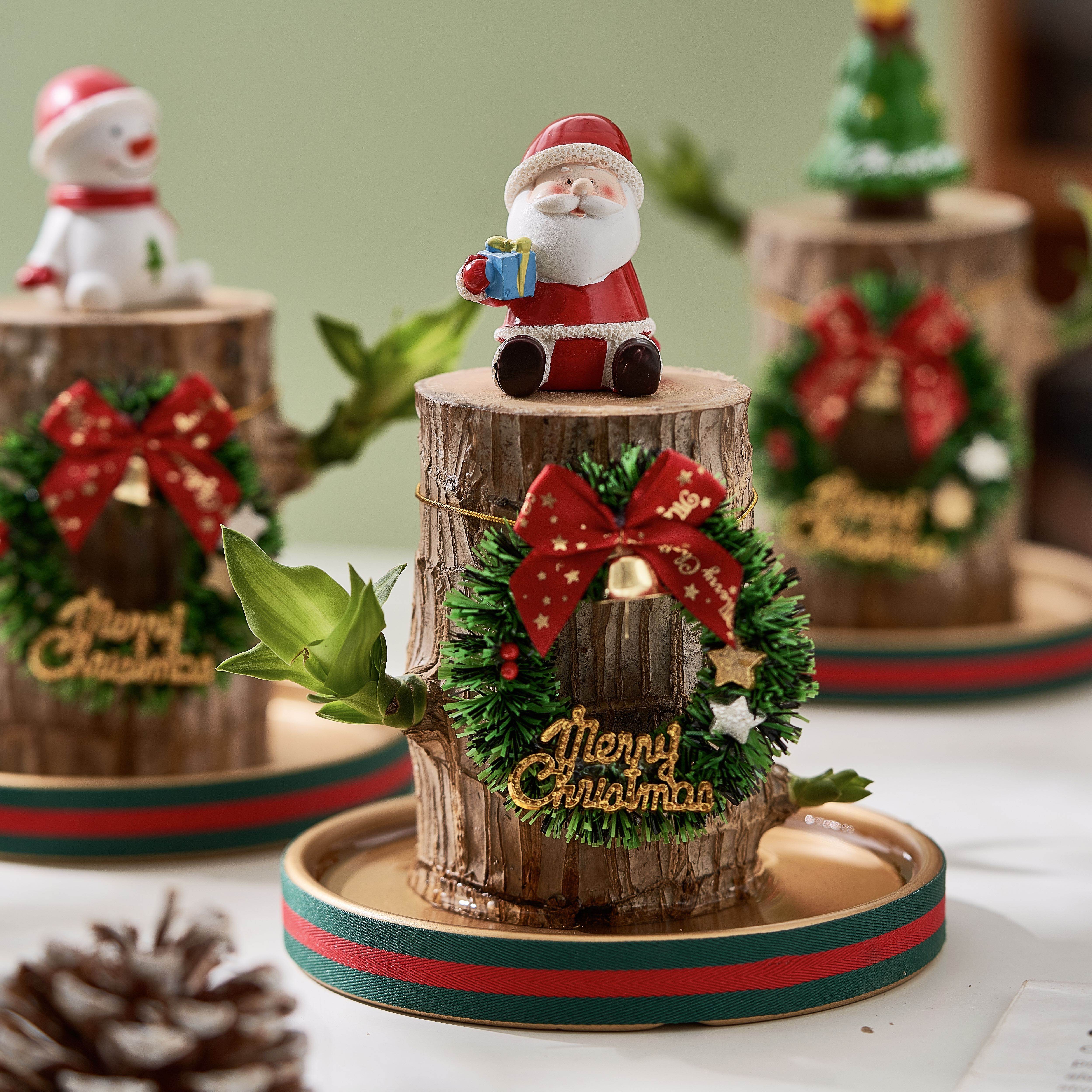 巴西木水培植物圣诞礼物趣味小盆栽办公室室内桌面绿植摆件幸运木,鲜花速递/花卉仿真/绿植园艺,绿植,淘宝优惠券,粉丝福利购,淘宝优惠卷