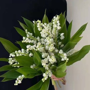 上海鲜花 来自荷兰进口25支一扎铃兰花新娘手捧花25公分