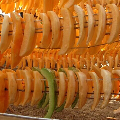 2025年新货新疆特产瓜250克包邮