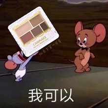 好画又深邃!Canmake五色眼影盘03 05方格哑光四色珠光闪片亮片19
