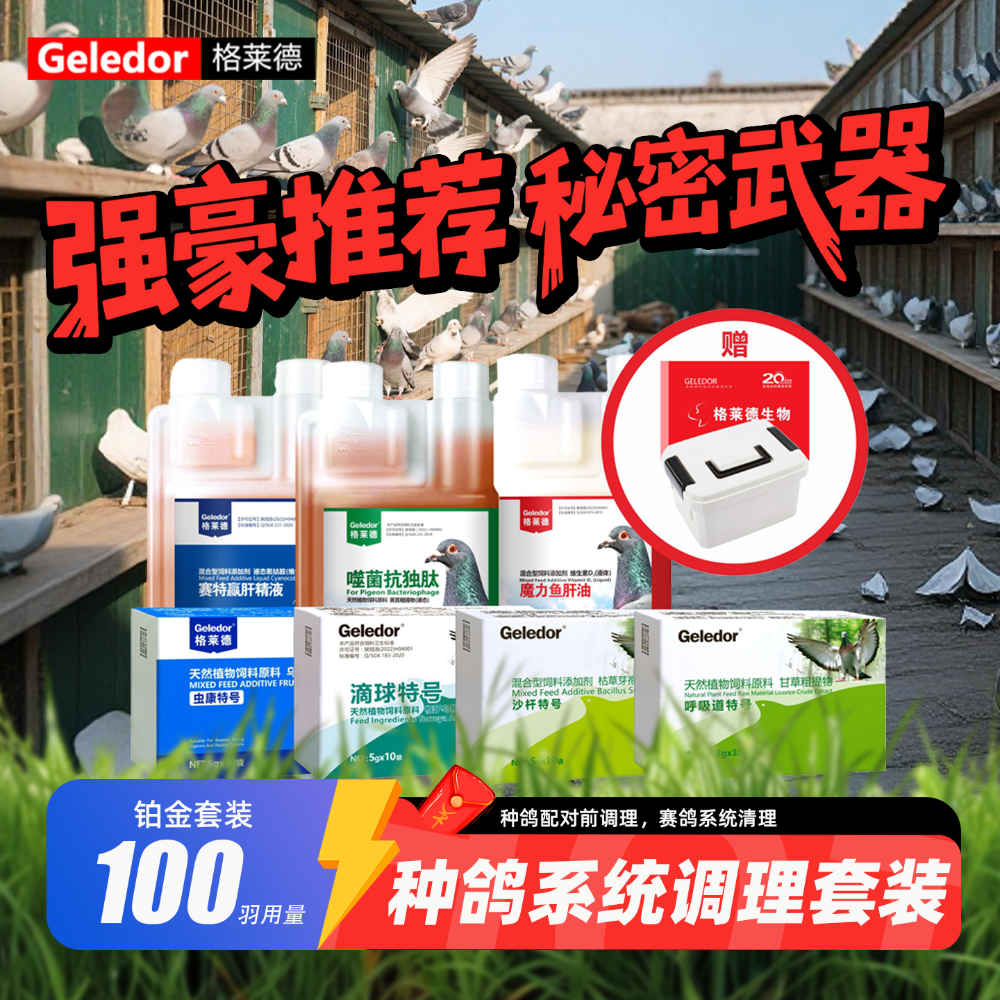 格莱德种鸽赛鸽系统调理组合