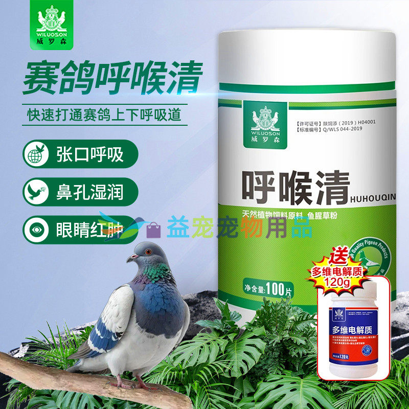 鸽子呼吸道上下信鸽用品大全