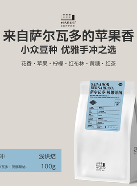 Marus马路咖啡 萨尔瓦多贝娜蒂纳厌氧蜜处理美洲小众手冲咖啡豆