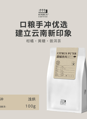 Marus马路咖啡 甜橘普洱25产季云南水洗手冲冷萃咖啡豆 浅烘100g