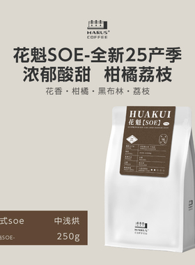MARUS马路咖啡 花魁SOE埃塞日晒单品意式咖啡豆美式浓缩 中浅烘焙
