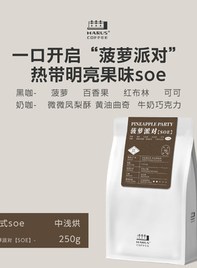 马路咖啡 新产季埃塞Gonjobe厌氧日晒74158菠萝派对SOE意式咖啡豆