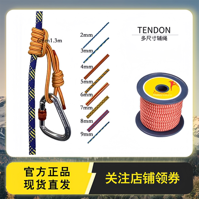 捷克TENDON 辅绳2/3/4/5/6/7/8/9mm抓结保护绳【单价为一米】
