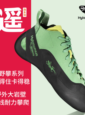 Hylonomus-遥-专业传统攀岩鞋进阶野攀训练抱石攀石户外大岩壁