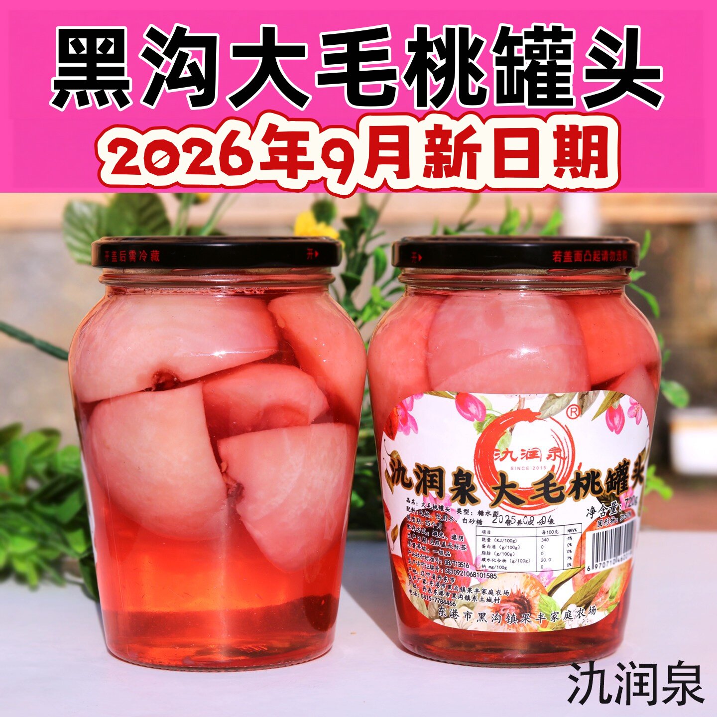 氿润泉黑沟毛桃黑沟毛桃罐头新鲜黄桃罐头玻璃瓶丹东特产水果罐头