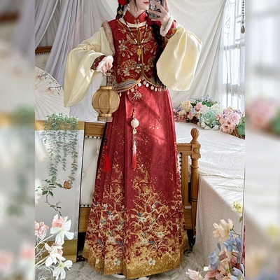 秋上新成人女金锦年明制立领对襟琵琶袖马甲马面裙日常秋冬款汉服