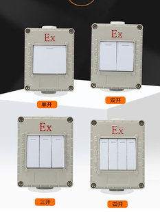 防爆墙壁开关防爆插座五孔220V10A明装 86型单开工业照明开关插座