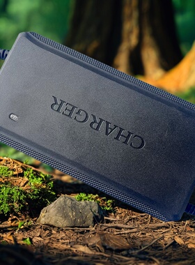 原装电动车48v12ah充电器60V72V铅酸电池新国标老款T型小公插插头