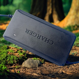 原装 T型小公插插头 电动车48v12ah充电器60V72V铅酸电池新国标老款