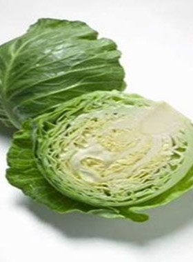 山东蔬菜圆白菜有机粪肥种植新鲜卷心菜脆嫩大头菜洋白菜四斤包邮
